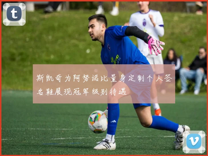 斯凯奇为阿努诺比量身定制个人签名鞋展现冠军级别待遇