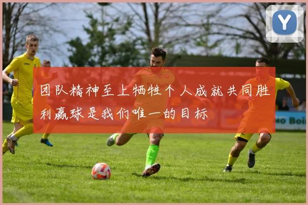 团队精神至上牺牲个人成就共同胜利赢球是我们唯一的目标